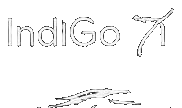 09_IndiGo